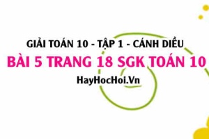 Giải bài 5 trang 18 Toán 10 tập 1 SGK Cánh Diều